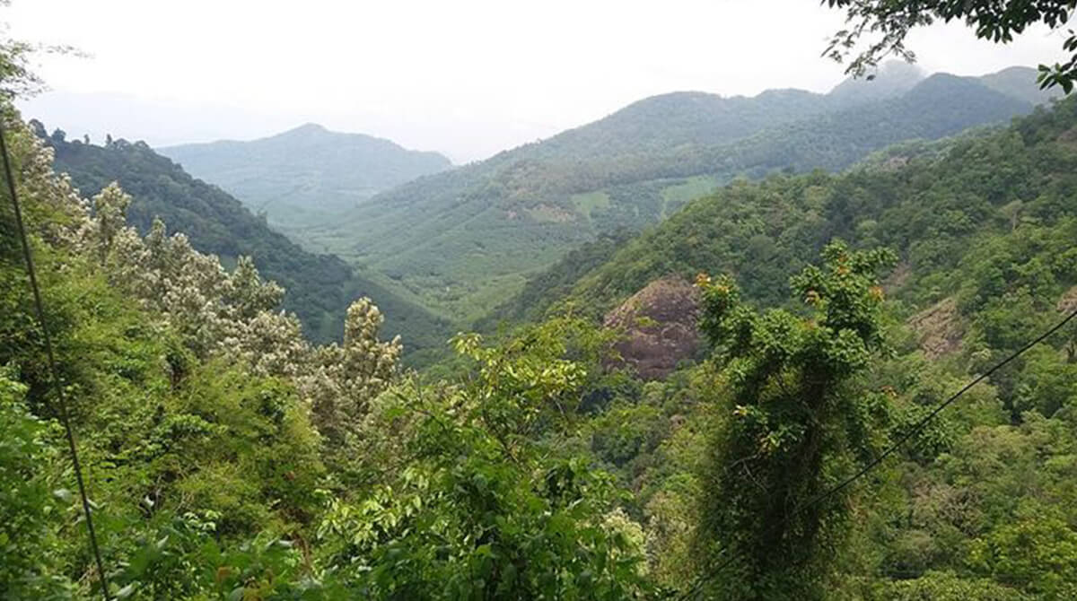 Ambanad Hills – A Mini Munnar In Kollam
