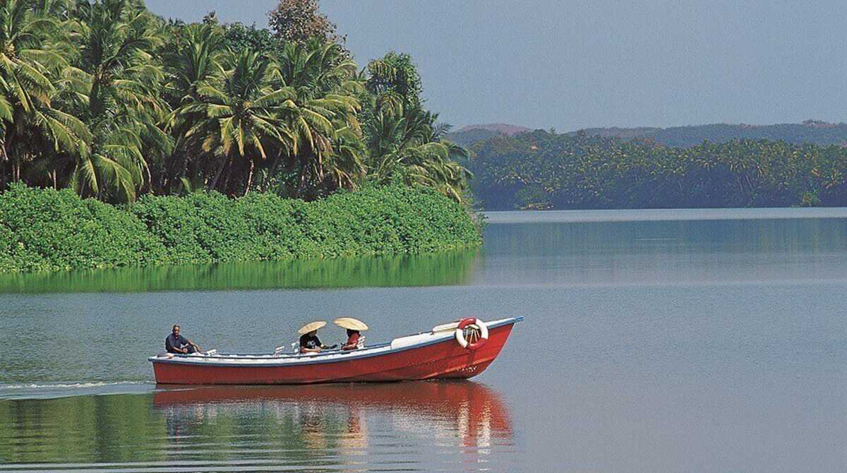 Best Honeymoon Destinations In South India