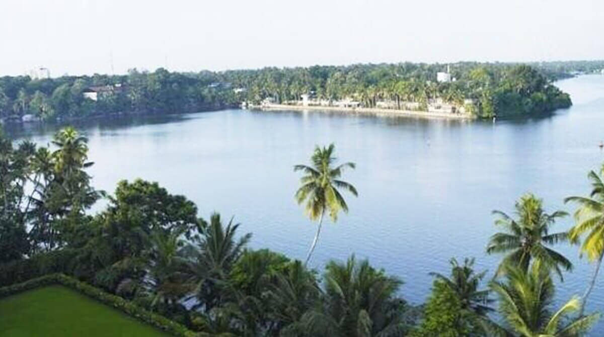 Bird Watching in Ashtamudi