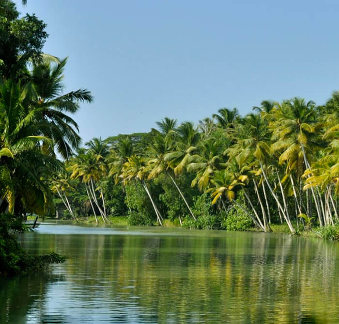 Poovar Beach and Backwaters