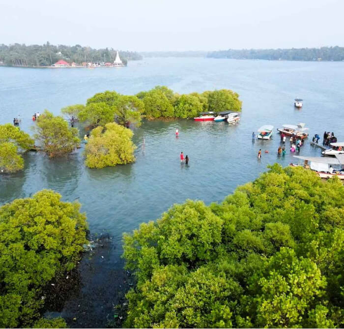 Walking on Water: Sambranikodi’s Marvel