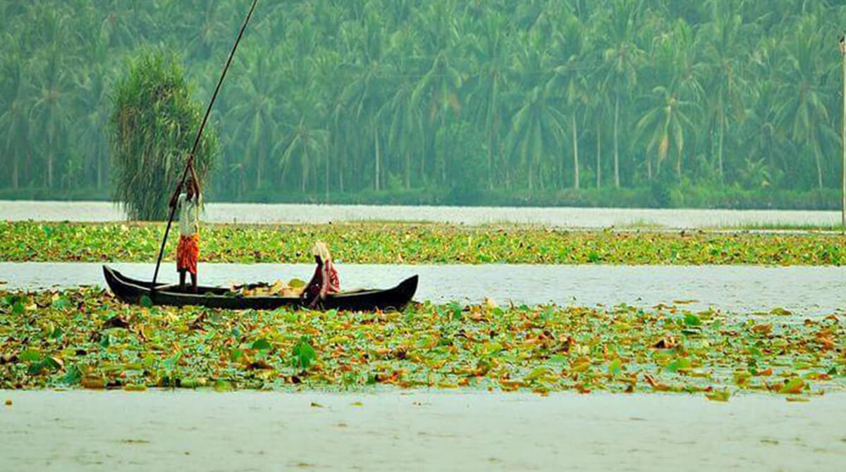 Vellayani Lake