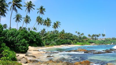Beaches Around Calicut – From Kappad to Beypore