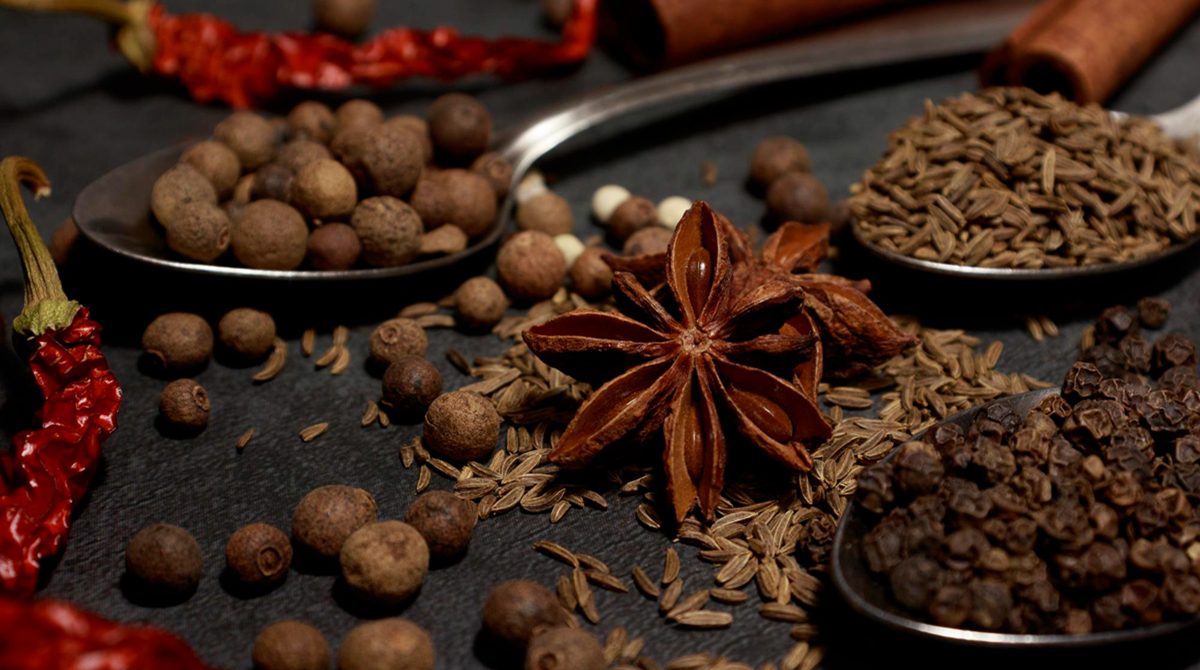 The Spice Routes That Made Calicut Famous Long Before Tourism